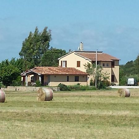 Agriturismo Podere La Cascata Villa Massa Marittima Exteriör bild