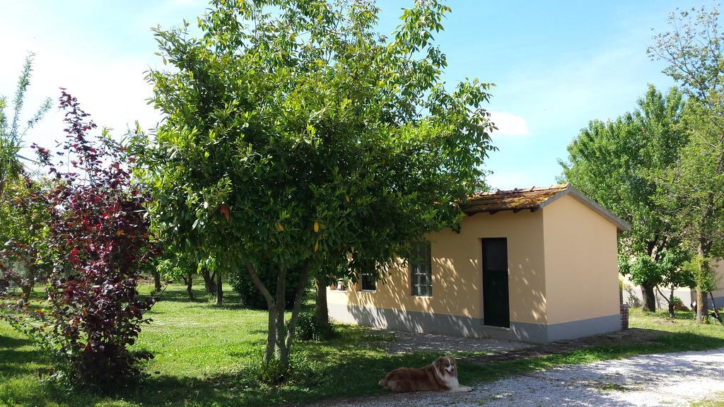 Agriturismo Podere La Cascata Villa Massa Marittima Exteriör bild