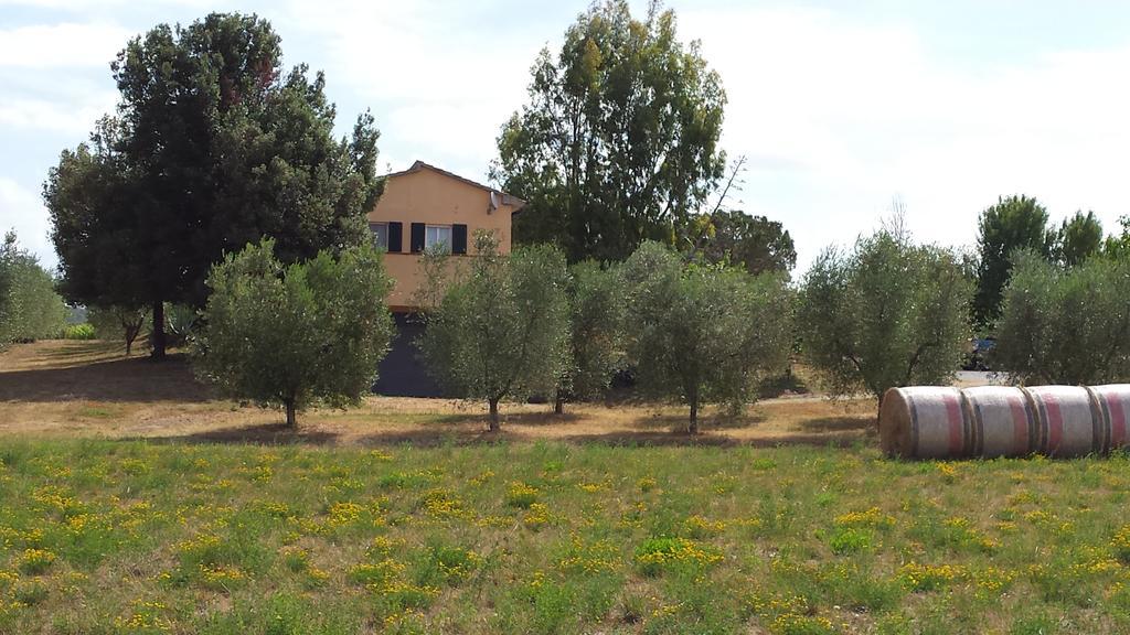 Agriturismo Podere La Cascata Villa Massa Marittima Exteriör bild